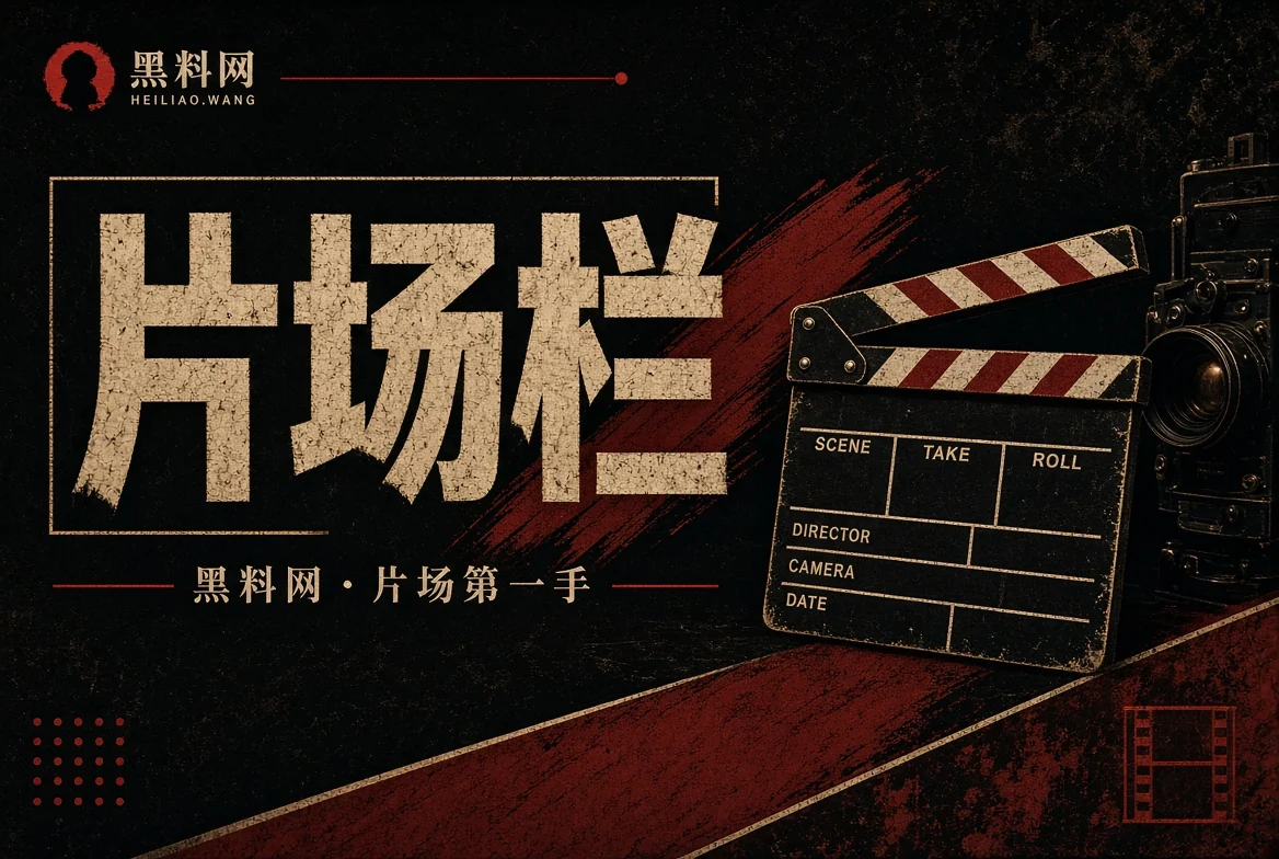 胶片栏公开内容编辑插图